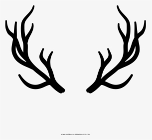 Deer Horns Coloring Page - Deer Horns Logo Transparent, HD Png Download, Free Download