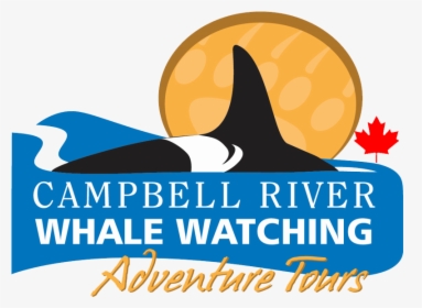 Campbell River Whale Watching And Adventure Tours , - Campbell River Whale Watching, HD Png Download, Free Download
