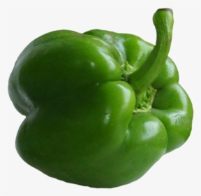 Green Bell Peppers Png - Green Pepper Png, Transparent Png, Free Download