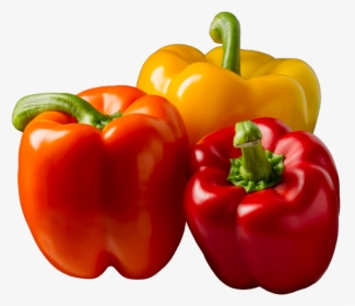 3 Bell Peppers - Chili Pepper, HD Png Download, Free Download