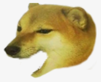 Doge Mouth Open, HD Png Download - kindpng