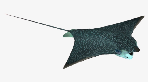 Eagle Ray Dutchdesigns Zt Download Library Wiki - Umbrella, HD Png Download, Free Download