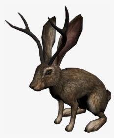 Lentri - Jackalope Png, Transparent Png, Free Download