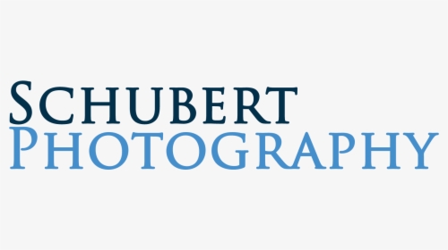 Schubert Photography - Fête De La Musique, HD Png Download, Free Download