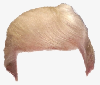 Wig Again Great Snout Make Hair America - Donald Trump Hair Png, Transparent Png, Free Download