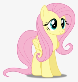 My Little Pony Friendship Is Magic Roleplay Wikia - Fluttershy My Little Pony Characters, HD Png Download, Free Download