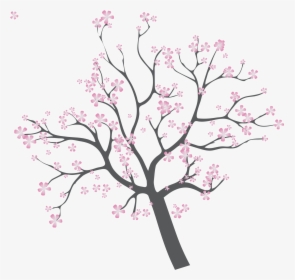 Cherry Tree Branch Png - Cherry Blossom, Transparent Png, Free Download