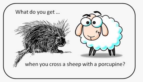 Clipart Sheep, HD Png Download, Free Download