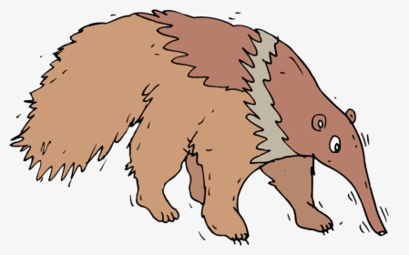 Anteater - Porcupine, HD Png Download, Free Download