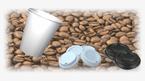 Coffee Cups And Lids - Cup, HD Png Download, Free Download