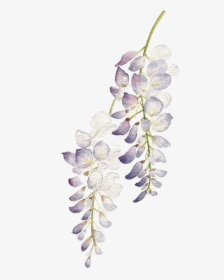 Transparent Background Watercolor Lavender Wreath, HD Png Download, Free Download