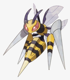 Pokemon Beedrill Mega Evolution, HD Png Download, Free Download