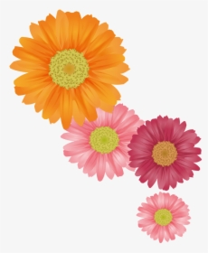 Fresh Orange Hand Painted Chrysanthemum Decorative - Summer Flower Vector, HD Png Download, Free Download