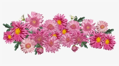 Flowers, Chrysanthemum, Pink, Arrangement, Garden - Chrysanthemum Flower Arrangement, HD Png Download, Free Download