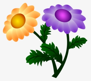 Vector Chrysanthemum - Chrysanthemum, HD Png Download, Free Download