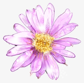Ume Blossom Clipart Purple Chrysanthemum - Watercolor Painting, HD Png Download, Free Download