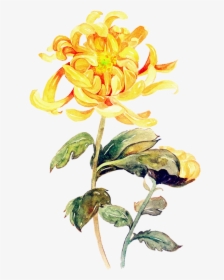 Yellow Flower Painting Png, Transparent Png, Free Download