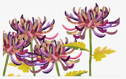 Chrysanths, HD Png Download, Free Download