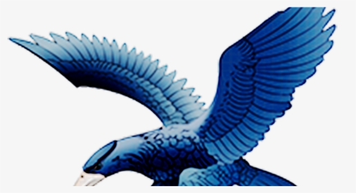 Ateneo Blue Eagle Logo, HD Png Download, Free Download