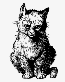 Angry Cat - Vintage Cat Style, HD Png Download, Free Download
