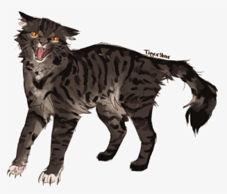 Angry Man - Warrior Cats Angry Cat, HD Png Download, Free Download