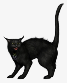 Creepy Black Cat Png Picture - Creepy Black Cat Png, Transparent Png, Free Download