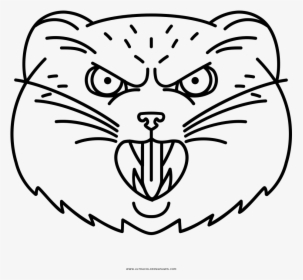 Angry Pallas Cat Coloring Page - Line Art, HD Png Download, Free Download
