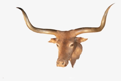Texas Longhorn Without Background, HD Png Download, Free Download