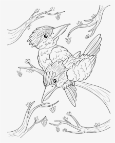 Kookaburra Coloring Page - Sketch, HD Png Download, Free Download