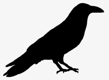 Primitive Crow Silhouette - Raven Clipart, HD Png Download, Free Download