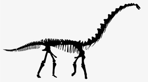Dinosaur Skeleton Silhouette , Transparent Cartoons - Black Dinosaur Skeleton, HD Png Download, Free Download