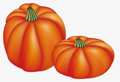 Pumpkin, Mesh, Thanksgiving, Halloween - Calabaza De Accion De Gracias, HD Png Download, Free Download