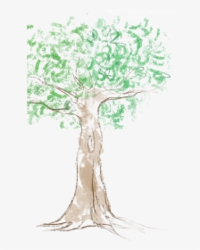 Chalk Drawn Tree - Creative Arts, HD Png Download, Free Download