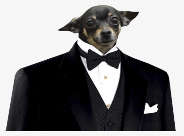 Elephant In A Suit, HD Png Download, Free Download