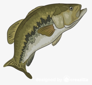 Carp, HD Png Download, Free Download