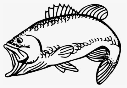 Largemouth Bass Rod Decal, HD Png Download, Free Download