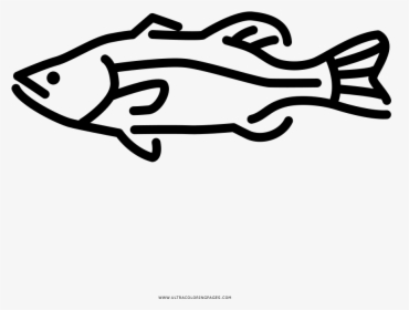 Largemouth Bass Coloring Page - Line Art, HD Png Download, Free Download