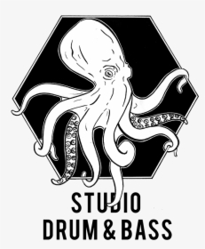 Studio Drum And Bass Logo - Drum And Bass Logo, HD Png Download, Free Download
