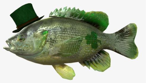 St Patty's Day Fish, HD Png Download, Free Download