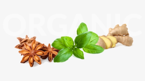 P 961x472, Spices, Pictures V - Basil, HD Png Download, Free Download