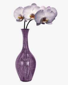 Vase, HD Png Download, Free Download