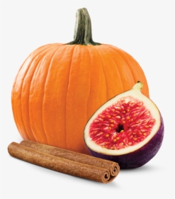 Pumpkin Spice - Pumpkin Carving Ideas Panda, HD Png Download, Free Download