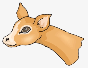 Deer, Head, Wildlife, Animal, Mammal, Nature, Hunting - Deer Eye Clip Art, HD Png Download, Free Download