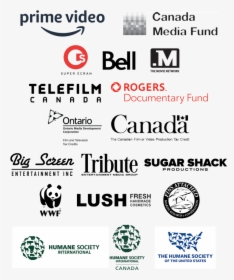 Team Sharkwater Partners - Logo Canadian Television Bell Fund Credits, HD Png Download, Free Download