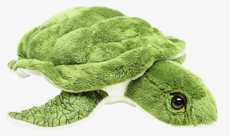 Wishpets - Sea Turtle Stuffed Animal Cheap, HD Png Download, Free Download