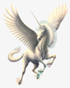 Pegasus Images Png - Transparent Pegasus Png, Png Download, Free Download
