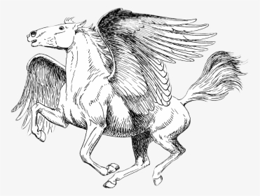 Pegasus Black And White Drawing - Realistic Pegasus Coloring Pages, HD Png Download, Free Download