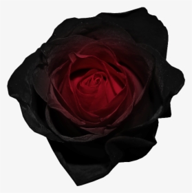 Dark Flower Png - Red Black Rose Transparent Background, Png Download, Free Download