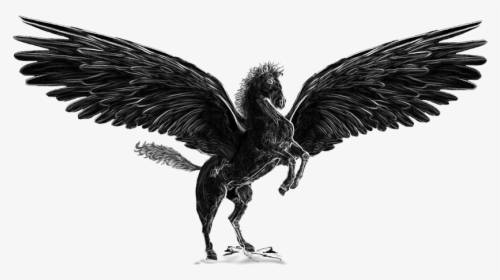 Pegasus Png Image - Black Pegasus Drawing, Transparent Png, Free Download