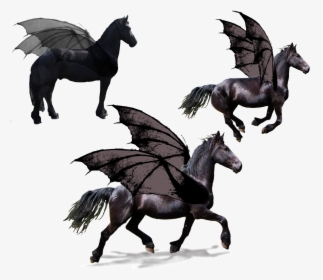 Standardbred Friesian Horse Trot Equestrian Pegasus - Black Stallion Horse Trotting, HD Png Download, Free Download